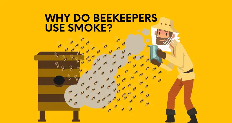 why do beekeepers use smoke