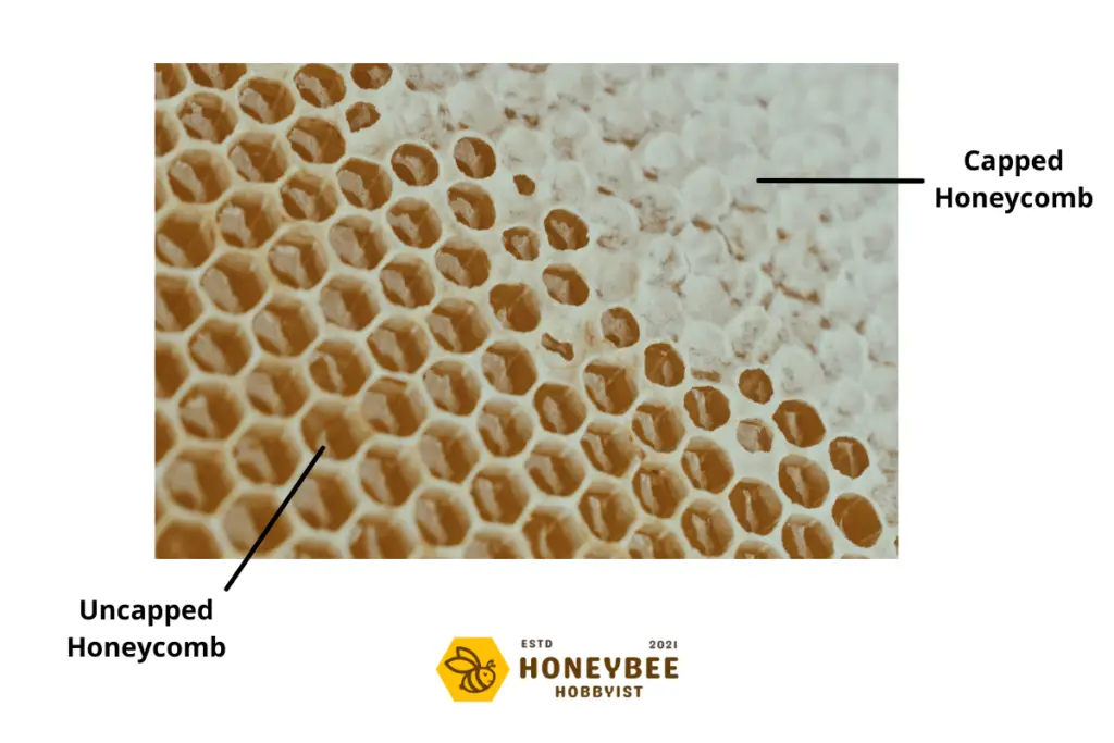 capped vs. uncapped honeycomb