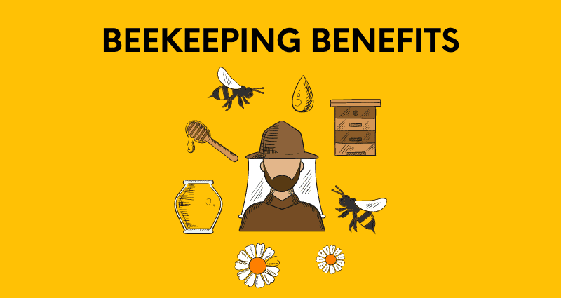 benefits of beekeeping
