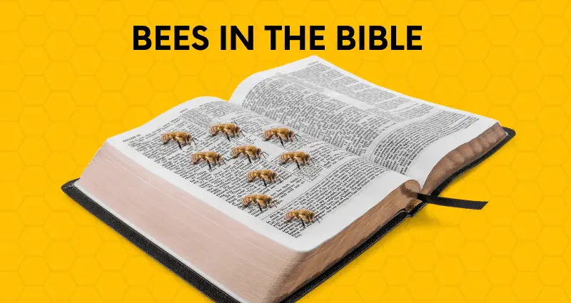 bees in the bible