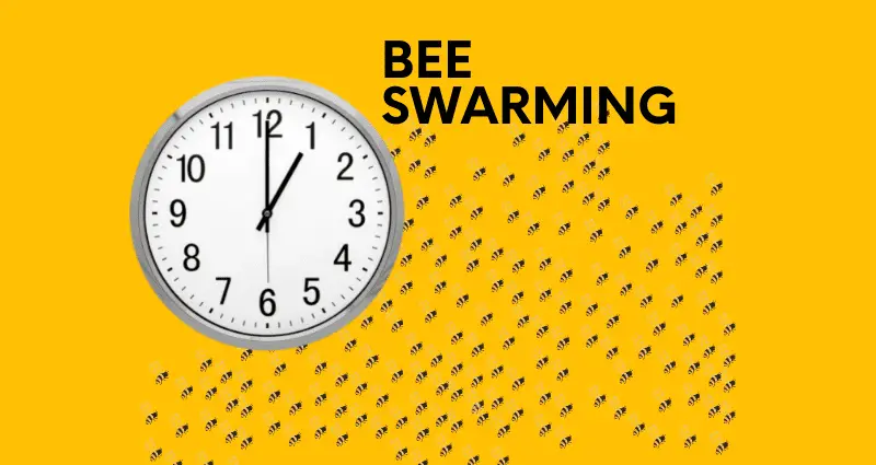 what time of day do bees swarm