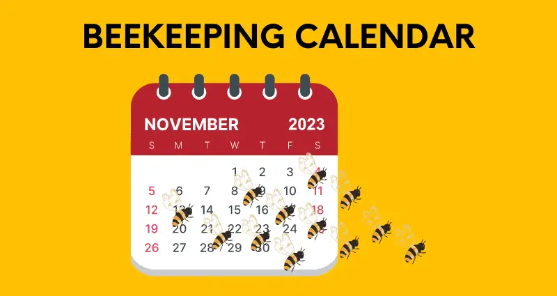 beekeeping calendar