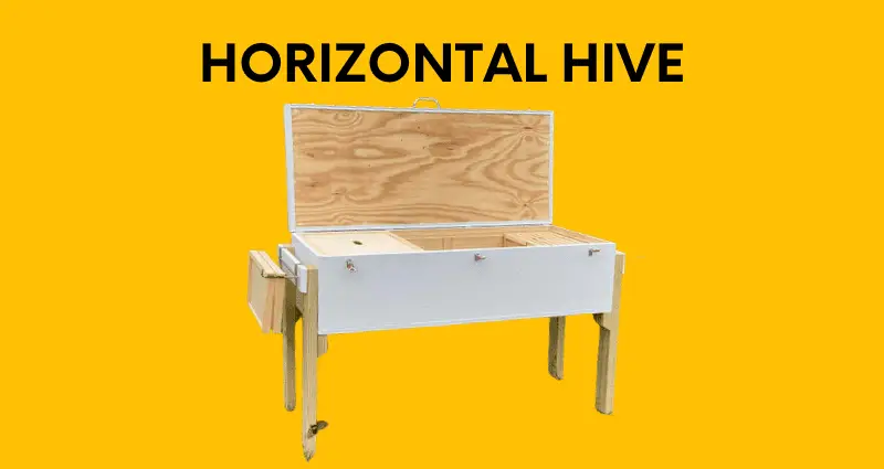 horizontal hive